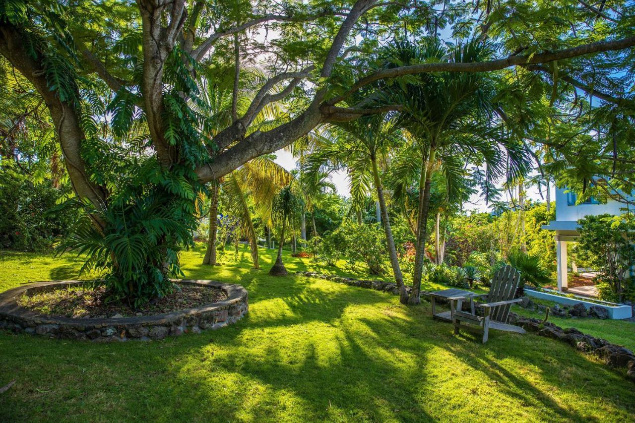 Quill Gardens Boutique Hotel Oranjestad  Esterno foto